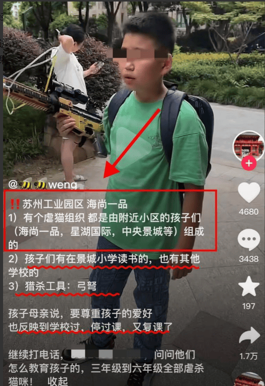 不寒而栗！孩子持猎猫枪虐杀猫是爱好，妈妈的“话”火遍全网