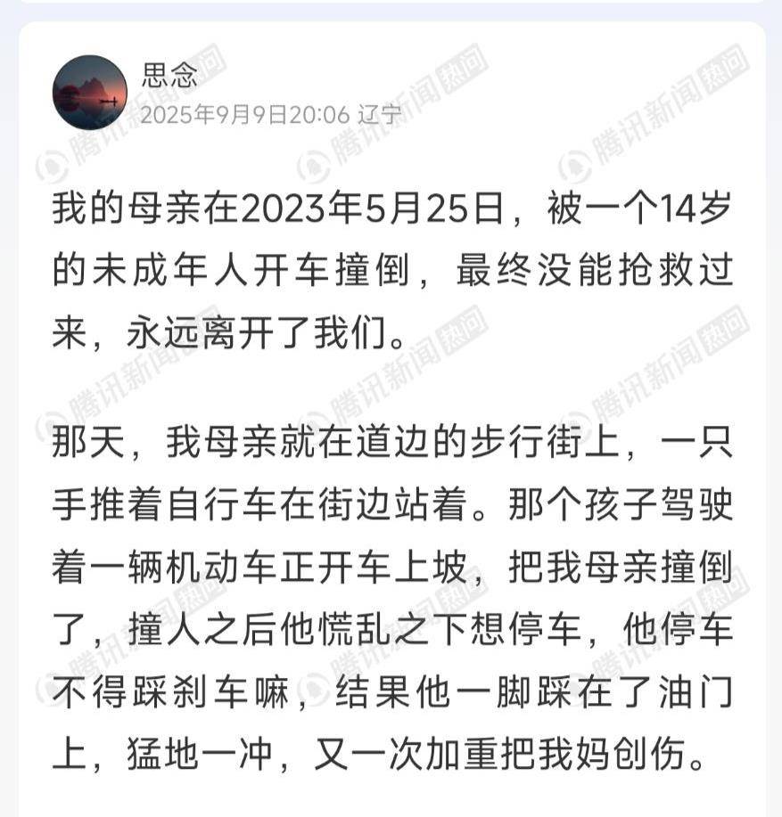 14岁少年无证驾驶撞死六旬女子，车主获刑22个月，监护人拖欠26万余元赔偿款，当事人回应