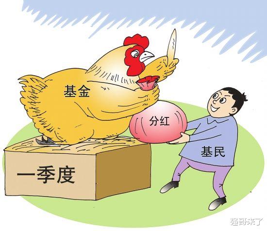 理财分红(理财分红为什么扣钱)