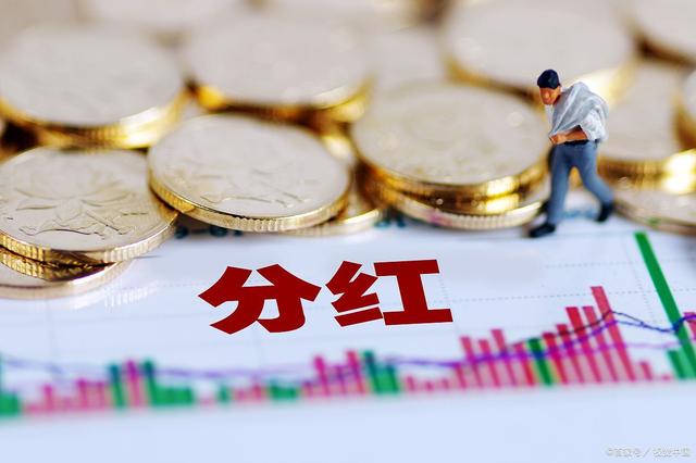 理财分红(理财分红红利再投是什么意思)