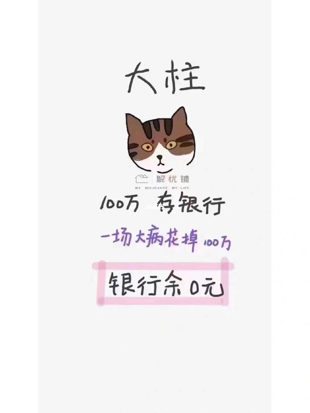 理财猫理财(理财猫app)