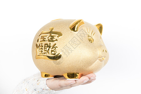 猪理财(懒猪理财最新消息)