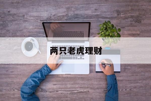 两只老虎理财(两只老虎理财平台官网)